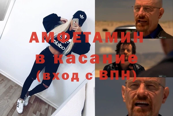 шишки Няндома