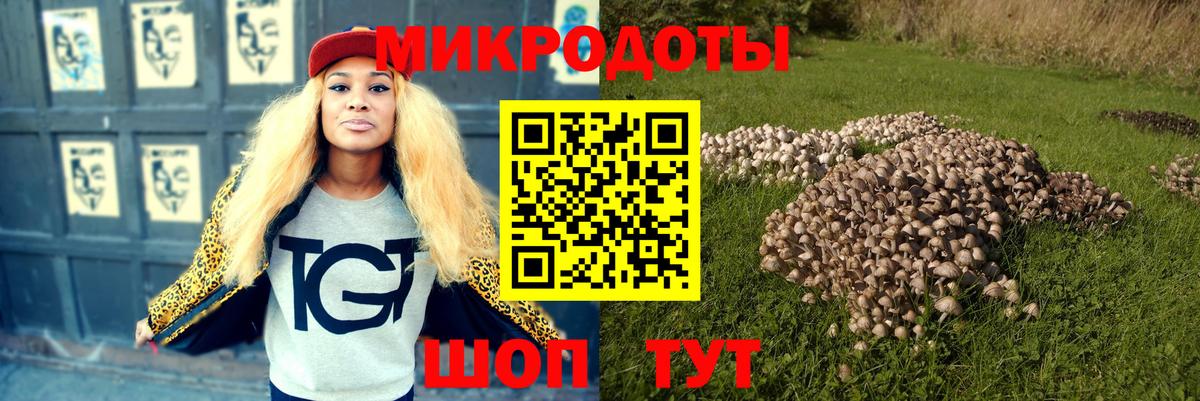 Набережные Челны  Галлюциногенные грибы Psilocybe  Галлюциногенные грибы Psilocybe  Вход с VPN 