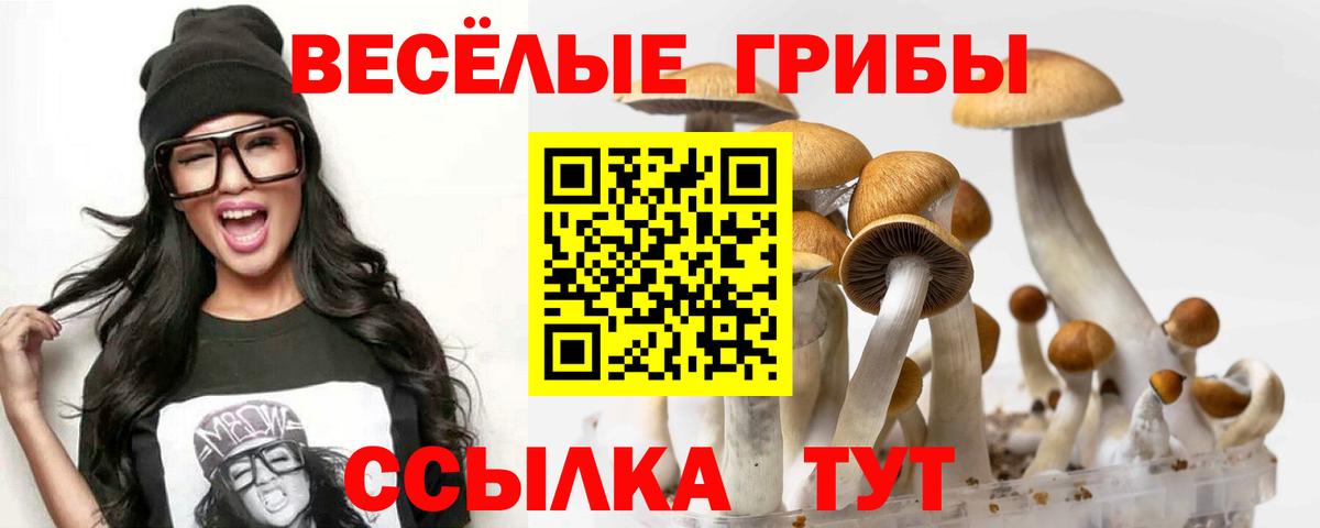Галлюциногенные грибы GOLDEN TEACHER Набережные Челны